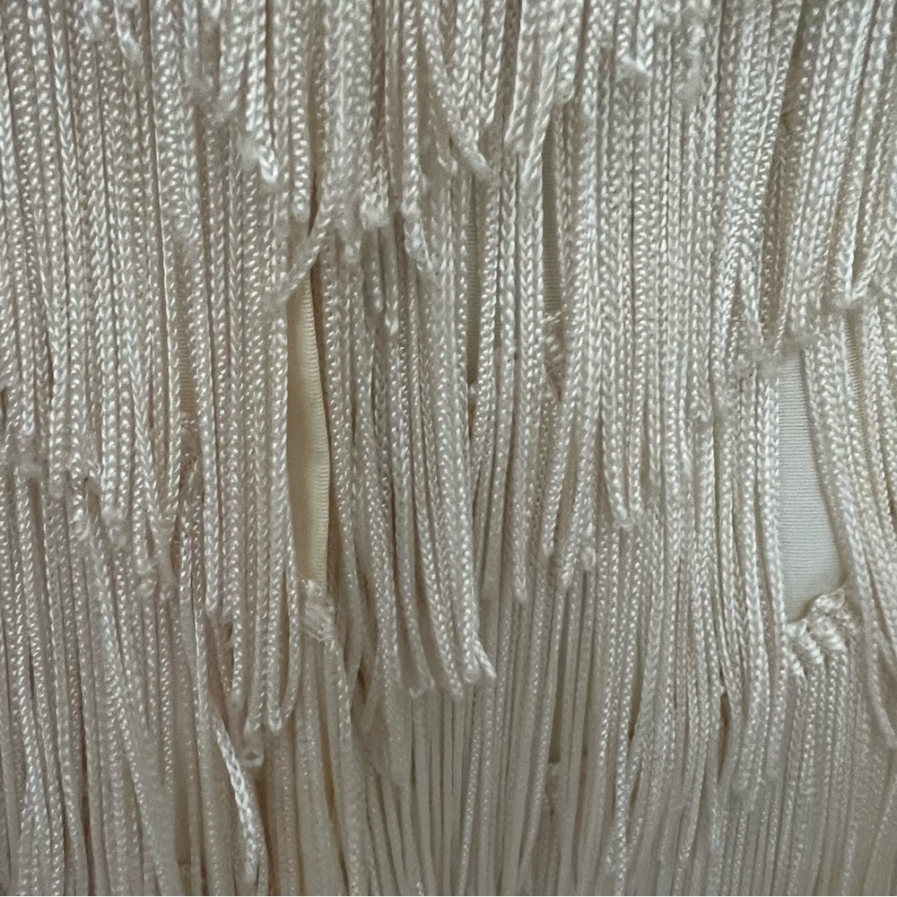 Ivory Fringe Slip Dress - Picture 14 of 16